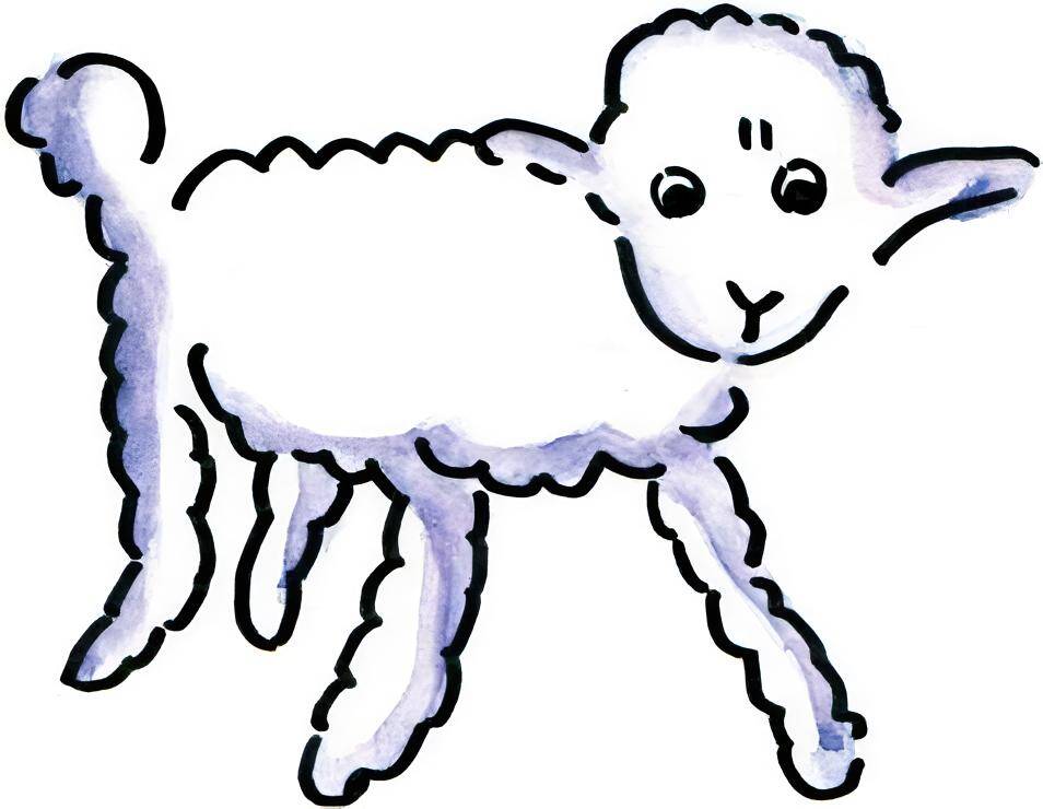 羊-1