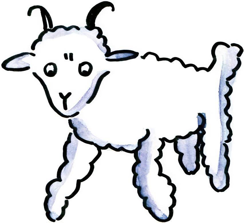 羊-2