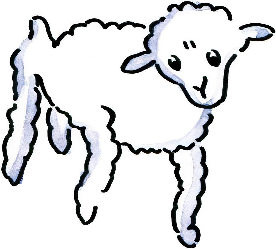 羊-3